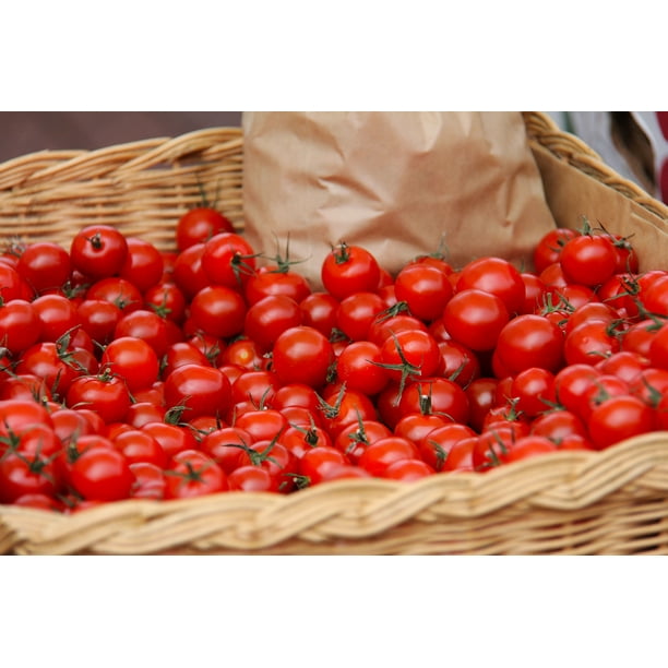 Tomato Reisentraube Cherry 100 Seeds ORGANIC NON GMO